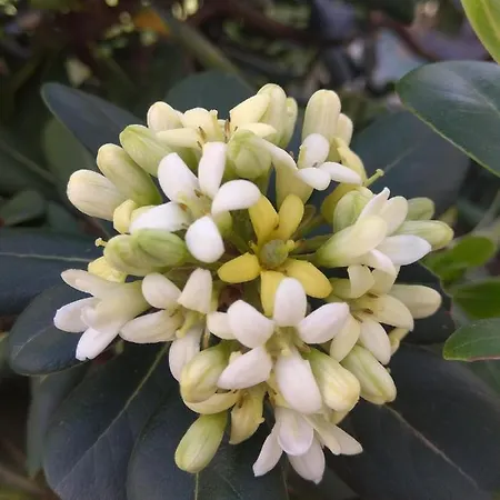 - Playa - Estudio Al Lado Del Mar Jo18 * Estepona