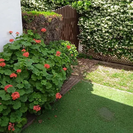 Apartment - Playa - Estudio Al Lado Del Mar Jo18 Estepona