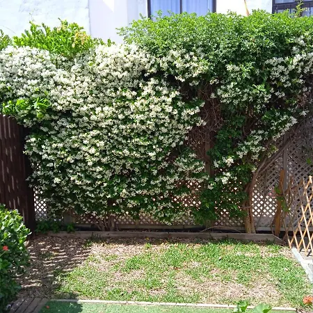 Apartman - Playa - Estudio Al Lado Del Mar Jo18