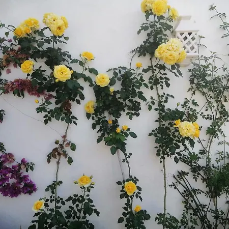 - Playa - Estudio Al Lado Del Mar Jo18 アパート