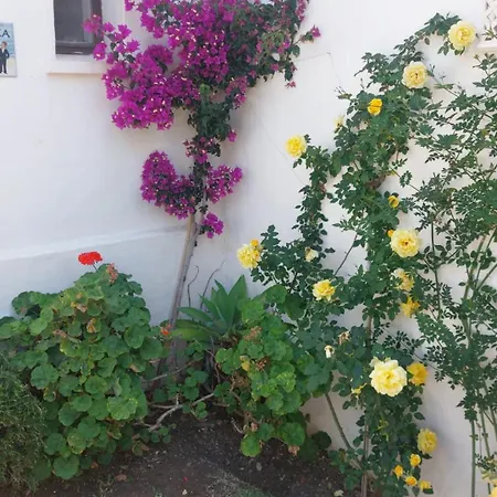 Apartman - Playa - Estudio Al Lado Del Mar Jo18 *