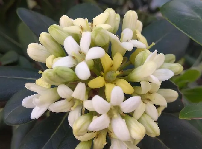 - Playa - Estudio Al Lado Del Mar Jo18 * Estepona