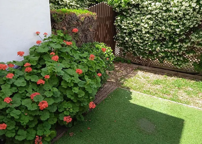 アパート - Playa - Estudio Al Lado Del Mar Jo18 エステポナ