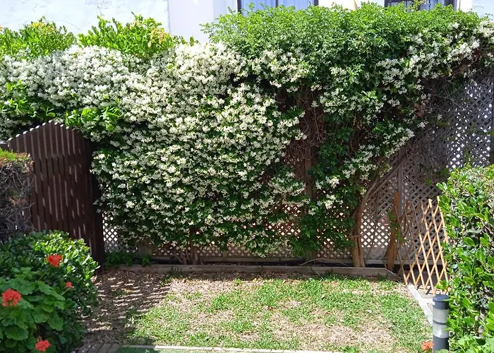 アパート - Playa - Estudio Al Lado Del Mar Jo18