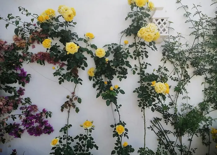 - Playa - Estudio Al Lado Del Mar Jo18 アパート