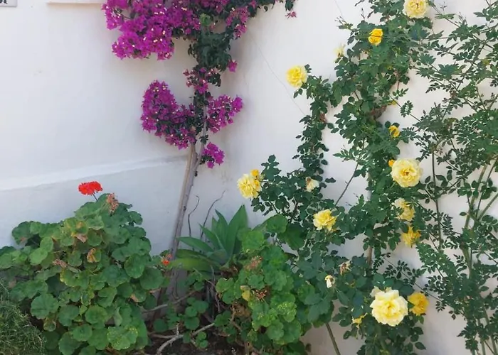 アパート - Playa - Estudio Al Lado Del Mar Jo18 *