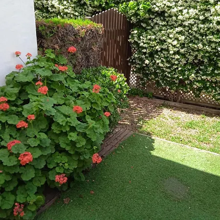 Apartament - Playa - Estudio Al Lado Del Mar Jo18 Estepona